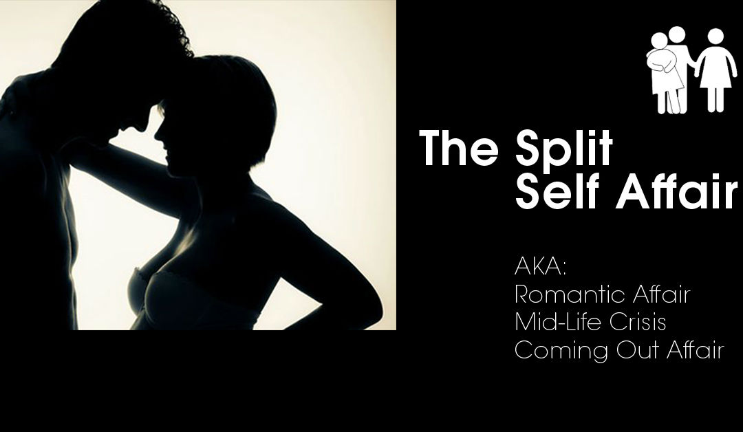 Affair Type 5 The Split Self Affair The Infidelity Recovery Institute