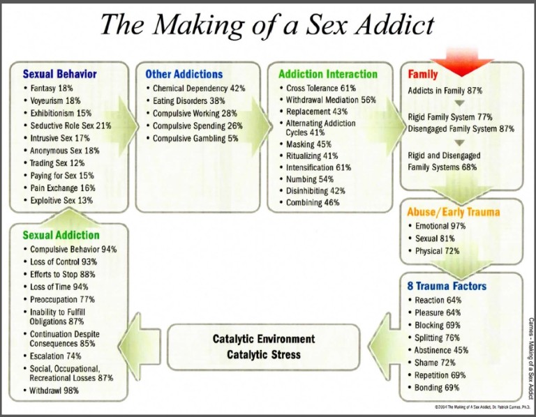 The Making Of A Sex Addict Diagram The Infidelity Recovery Institute