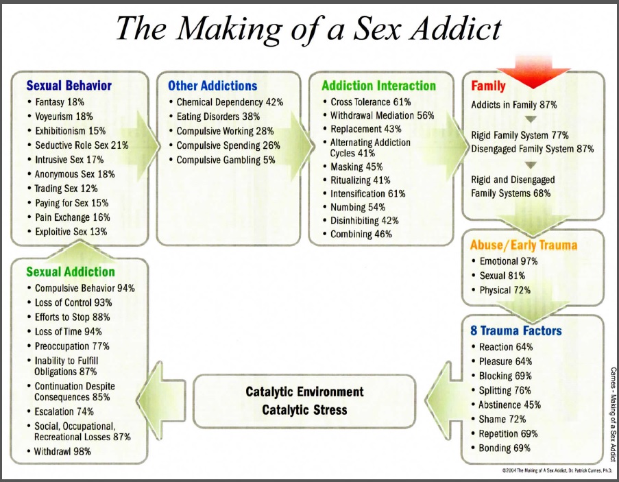 Type 7 The Sex Addict Affair Infidelity Recovery Institute